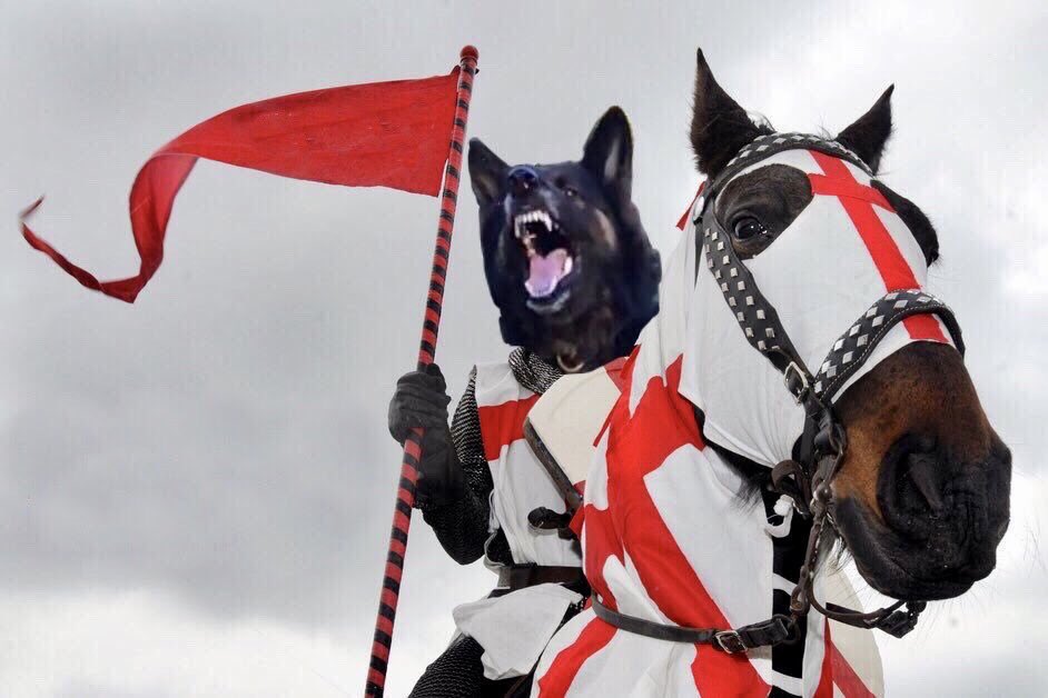 ‘Saint George he was for England, And before he killed the dragon he drank a pint of English ale out of an English flagon.’.....Dont mind if I do!! Cheers 🍺😉👍🐻👍🏽 #HappySaintGeorgesDay