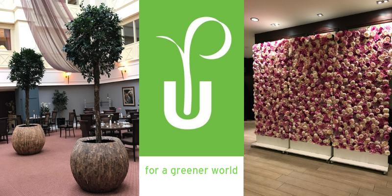 tbrsouthwest's tweet photo. Urban Planters supply & maintain plants for all types of business, including small businesses, hotels, restaurants, bars, health clubs, car showrooms and shopping centres.
Talk to @LisaBaileybrown how to improve your workplace
https://t.co/erOyM0Mav7
#swbconnect #swbhub https://t.co/Zd8CAb4lDN
