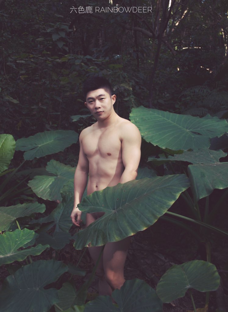 六色鹿RAINBOWDEER tweet media