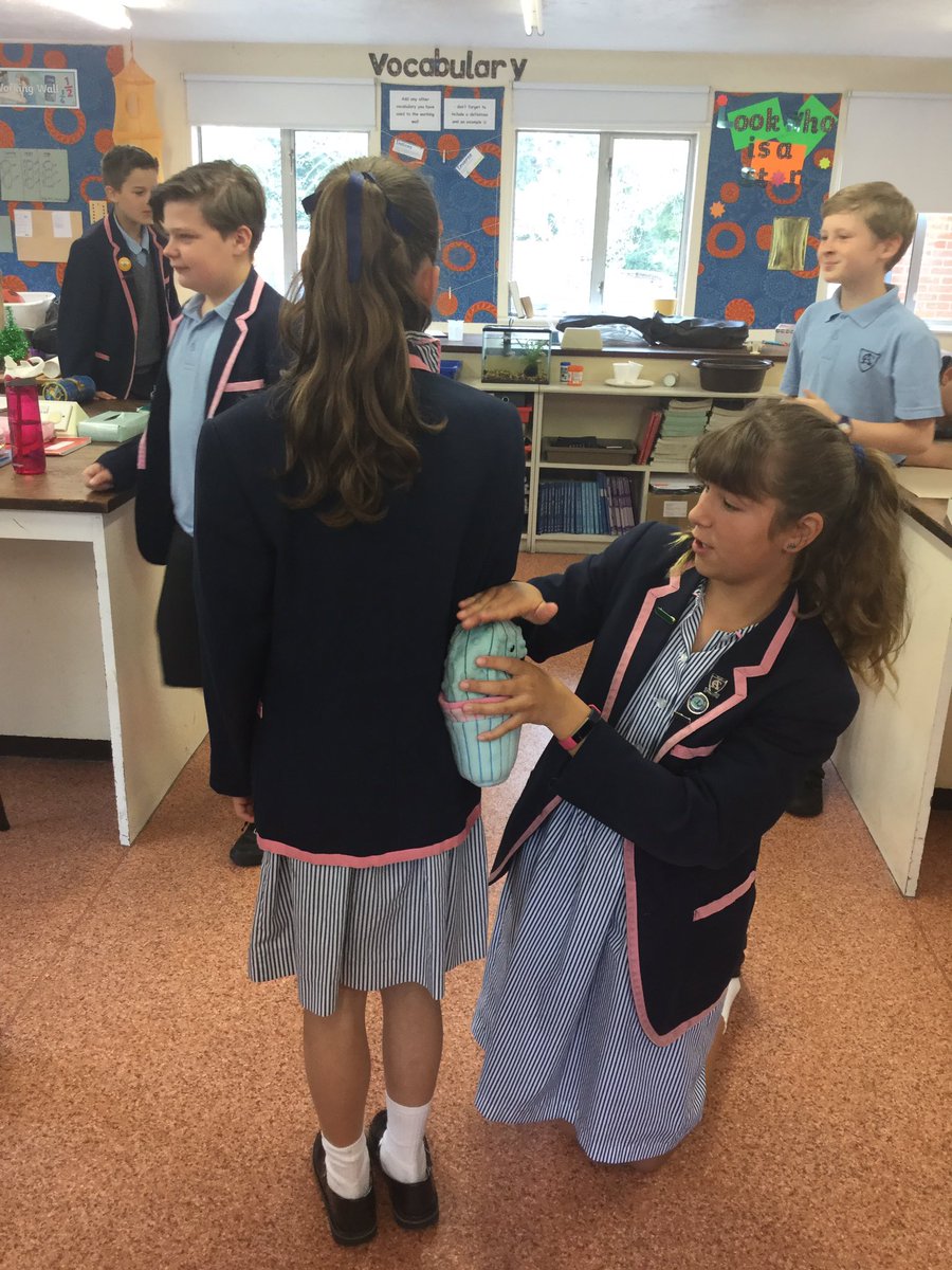 AlleynCourtMath's tweet photo. A very fun maths lesson with year 6 today. We used non-standard units of measure to lead discussion about accuracy of measuring. In case you’re interested, the lab is 8.5 Teddys across (no Teddys were harmed in this lesson). https://t.co/j6XVMFjSUa