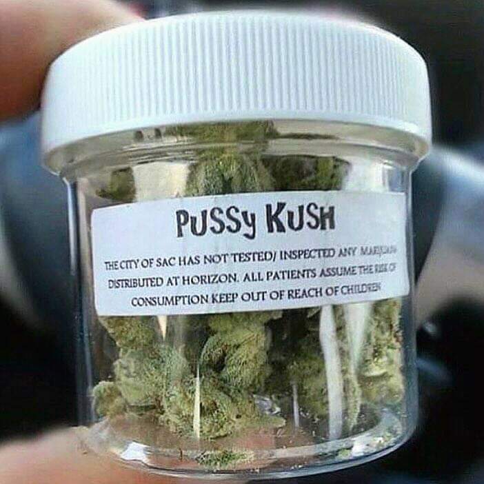 Hansblik2's tweet photo. #hemp #weed #marijuana #cannabis #weedlover #medical #healthy #canada #medicalmarijuana #canadacannabis #medicalcannabis #Ontario #Toronto #420Live #cannabisculture #420day #weedstagram420 https://t.co/LC7haQTafz