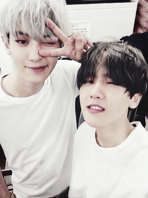 wonunigyu's tweet photo. If you see this tweet you’re obligated to reply with your favorite ChanBaek picture 

Reply with: #BBMAsTopSocial EXO @weareoneEXO 
RT and Reply or 30 years of bad luck https://t.co/yCGYx2N0bb