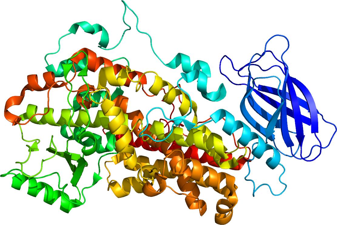 Stemcellmeet's tweet photo. Protein aggregation can accumulate in mitochondria, blocking the energy production and serves as a hallmark to many #NeurodegenerativeDiseases https://t.co/6pvuujm04h  
#CellScience2019 #Paris #Conference https://t.co/1TpEWQAruJ