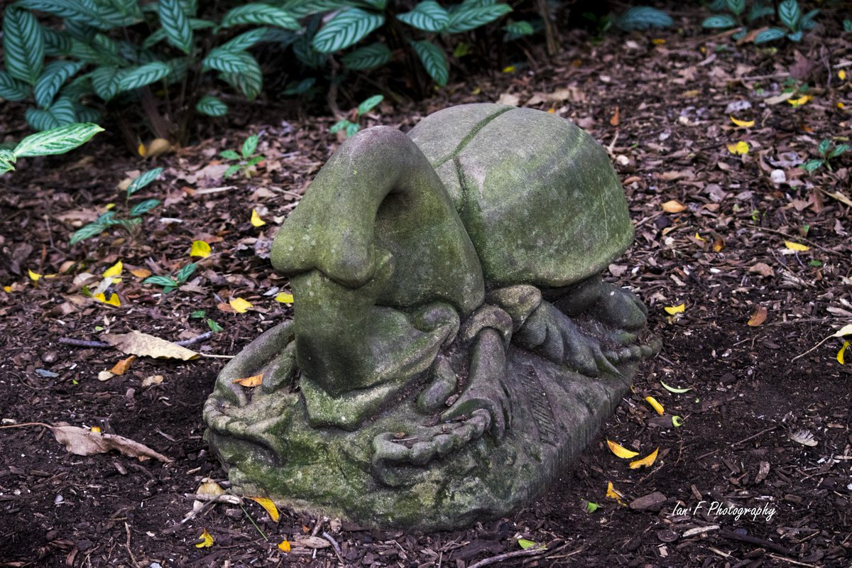 IanFPhotograph1's tweet photo. Saw these two at the Mt Coot-tha Botanical Gardens. #statues #art #bugs #botanicalgardens #gardens #PhotoOfTheDay #photography #photographylovers #artphotography #wildlife #MtCoottha #Brisbane #Queensland #Australia #Nikon #Nikonphotography #INeedANewCamera https://t.co/d4Rf8ShDW3