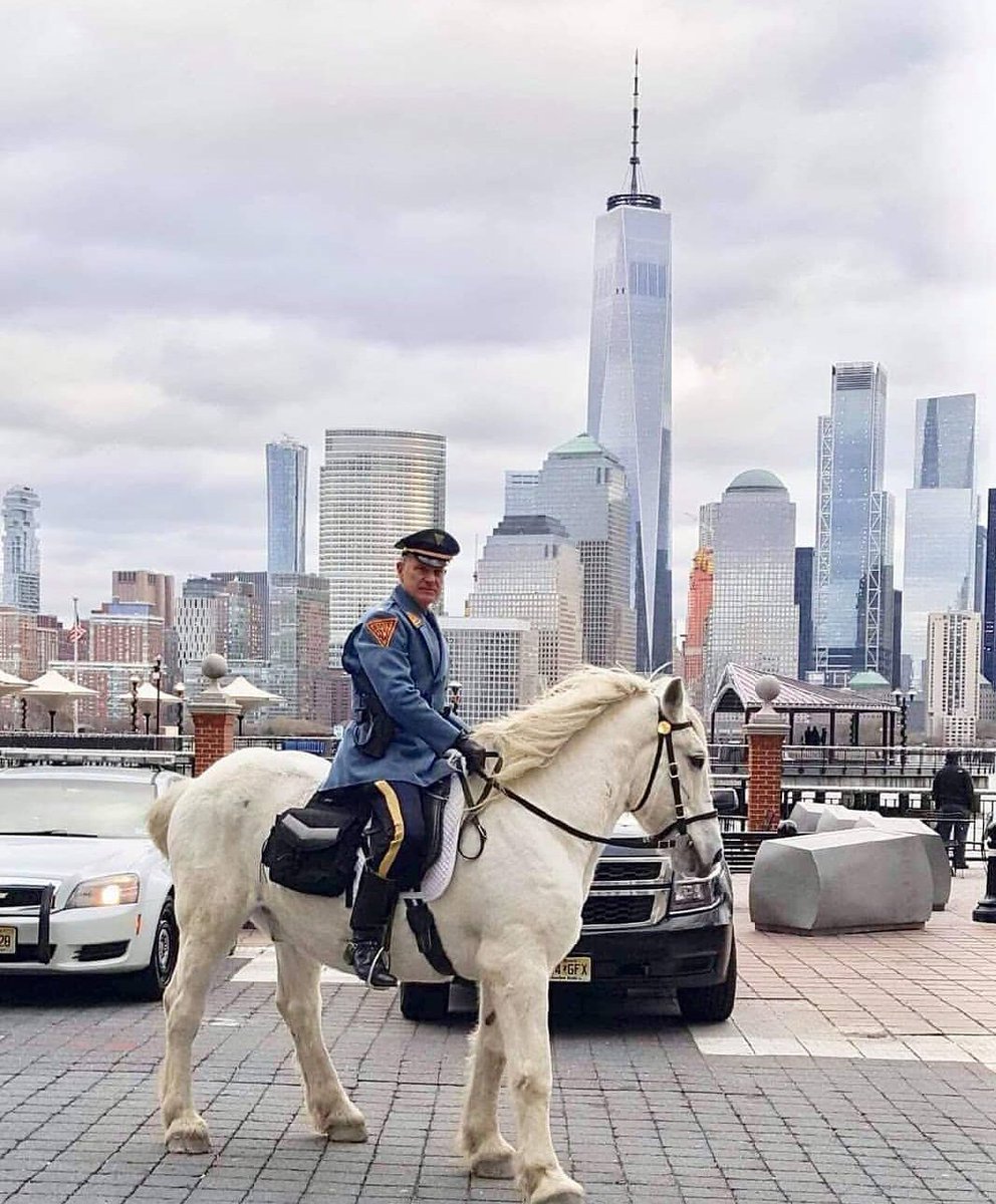 BergenSpca's tweet photo. RIP Wesley the @NJSP Horse https://t.co/9prRTMlIMI