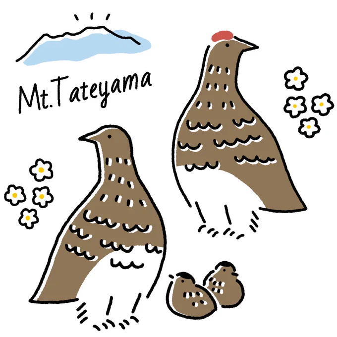 ライチョウさんのイラストを描きました。地元富山県の立山黒部アルペンルートが全線開通したそうです。ライチョウをさがしに行きたいなぁ。大好きな山です。このイラストを使って山好きなお友達のためにTシャツを作る予定です。#立山 #登山  #イラスト好きな人と繋がりたい #野鳥 