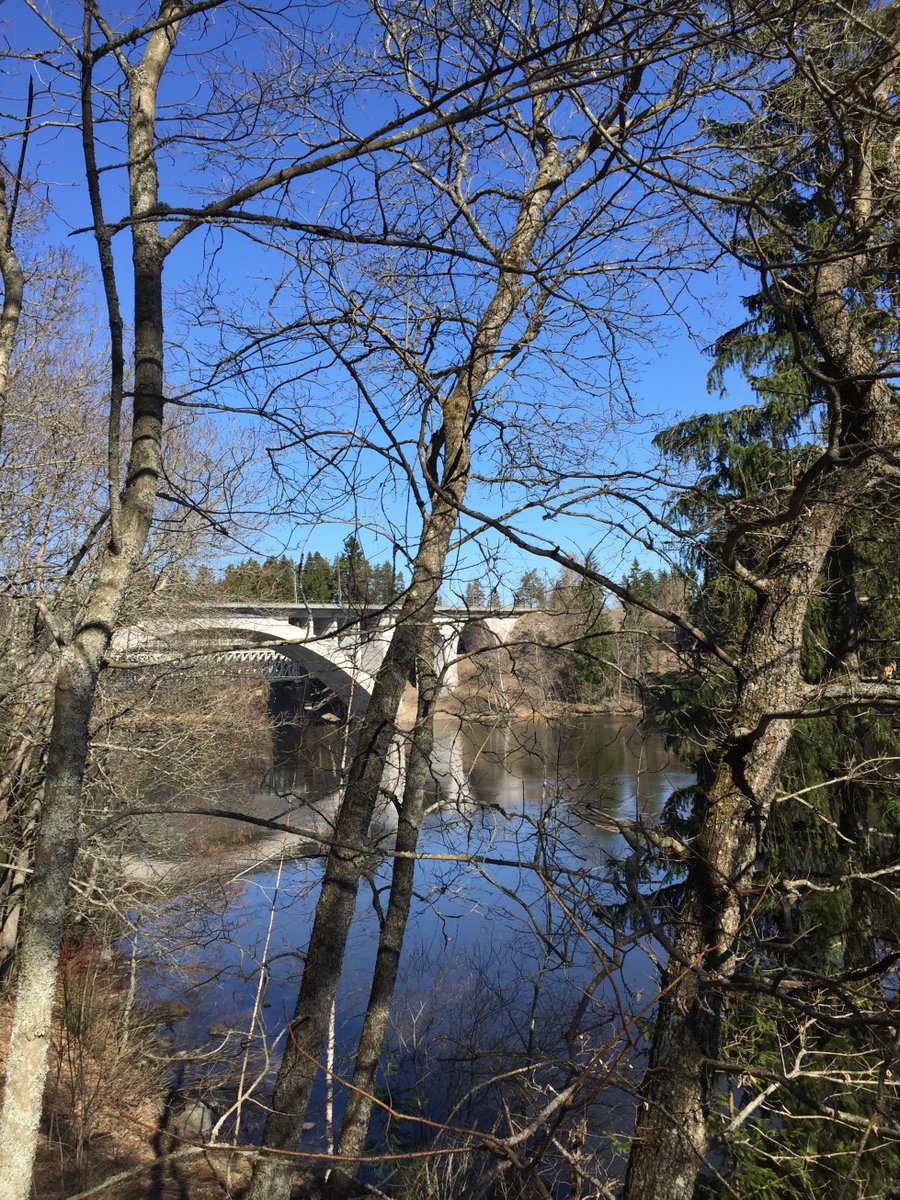 Finnish Famine Memorials tweet media