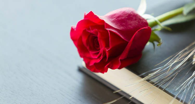 taeyogv's tweet image. RT reusdigitalcat: Des de #Reusdigital, us desitgem a tots i totes una feliç Diada de #SantJordi.