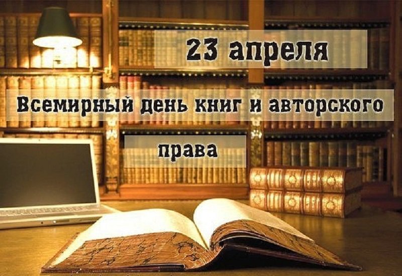 Картинки 23 апреля, красная роза