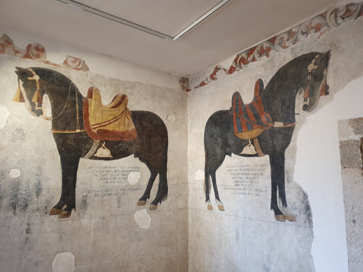gmaddal3's tweet photo. sempre originali in #Molise. #CastelloPandone #Venafro https://t.co/BKxLmnoz8P