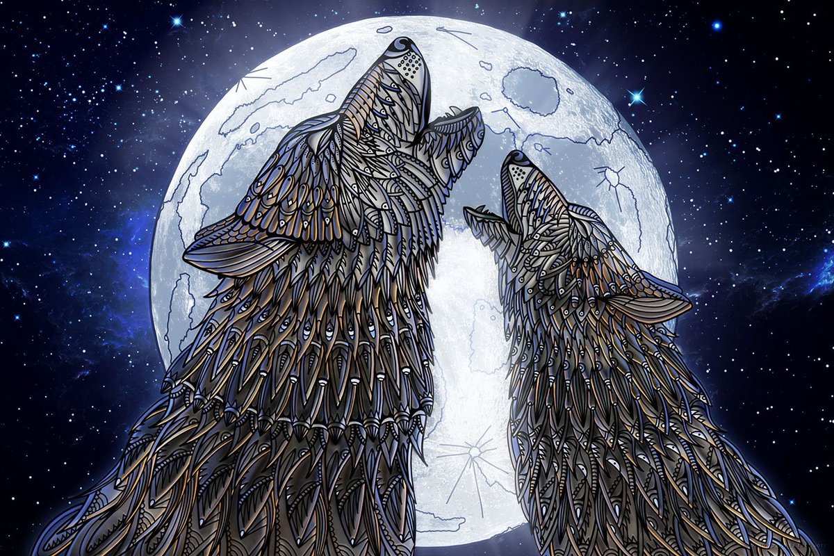 Vulnerable wildlife species take the spotlight in this bold series by @sandycanvas. Take a closer look at how these intricate illustrations came to be: adobe.ly/2IMUfUp #EarthMonth