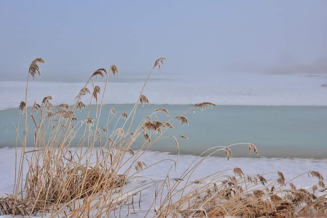 그렇지않으면
나중에
이렇게할걸 저렇게할걸
후회하게 됩니다.
후회는
책임지지 않으려고
할 때 생깁니다.
-한봉주2-