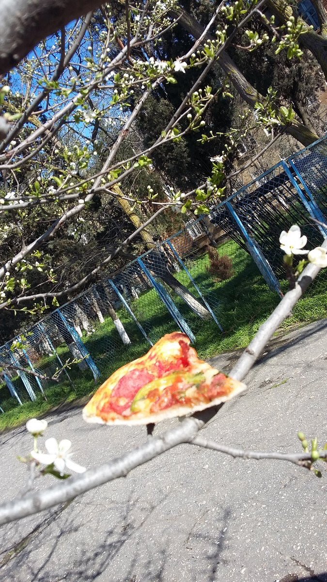 утро всем, вот и прилетели весенние пиццы