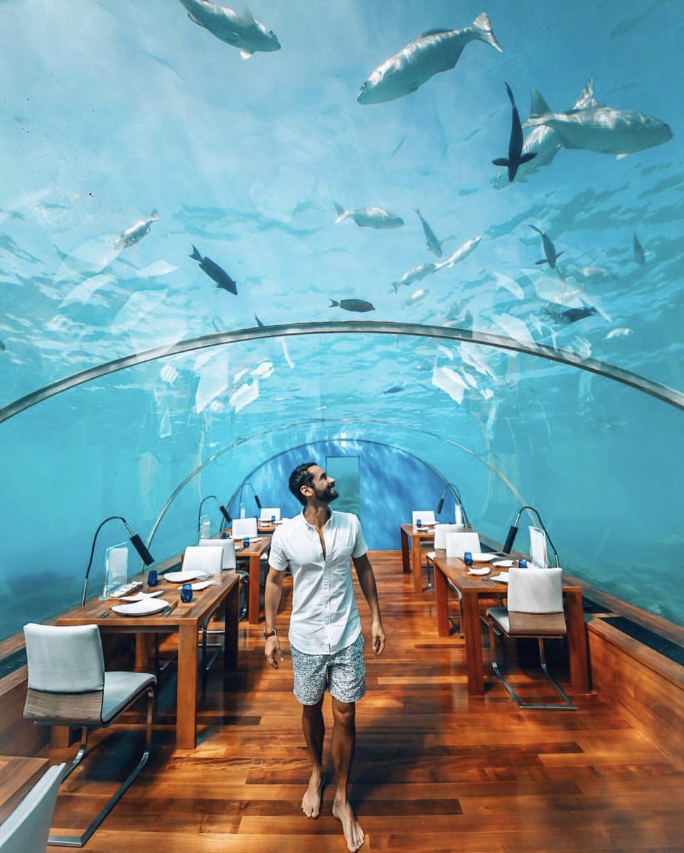 Dining underseas ? 
Enjoy the unreal experience at The Maldives 5 meters below the sea level .Join Luxuria . 
Photo credit @andredemello 
#luxuria #luxuryconcierge #luxurylifestyle #conciergeservices #bespoke #bespokeholidays #maldives #luxury_club #luxuryholidays