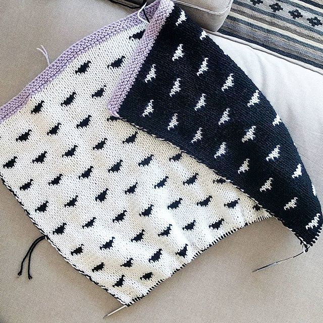 TheSnugglery's tweet image. 💜🖤💜Another appearance from my illusive forever project. It'll be done...someday
.
.
.
#doubleknitting #foreverwip #foreverproject #babyblanket #knitbabyblanket #knitbabyblanketpattern #knitting #knit #knitter #knitstagram #knitpro #knitterspride #pai… bit.ly/2URvAFA