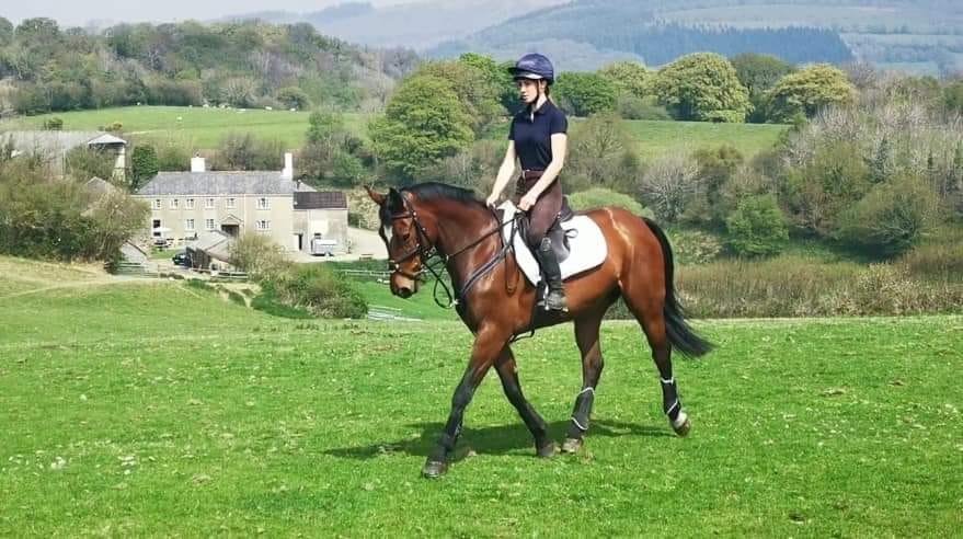 Schooling in the evening sun...
Bella is kitted out with HUSK tendon boots on fronts, Rock boots on hinds, Air girth &amp; Pure breathe pad - this ensured Bella stayed comfortable during training! 
☀️thehusk.co.uk/?aff=3☀️
#husk #husktechnology #equine #eventer #eventing