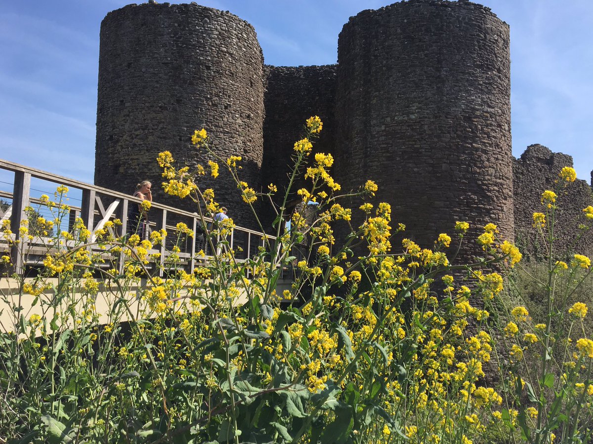 finstumpf's tweet photo. Aspects of Wales #LoveMonmouthshire #ThreeCastlesWalk @AllThingsCymru @ItsYourWales @wonderfulwales @LoveYFenni @VisitAberG https://t.co/wM33Cme93p