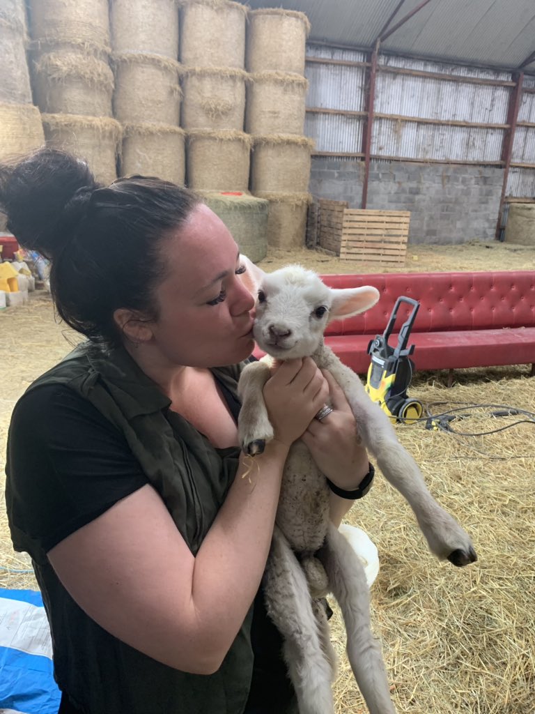 kate_fegley's tweet photo. This will be the poster for a GoFundMe I am setting up ASAP!
I was just informed Stuart has until September before he becomes Lamb Chops ๐ณ
#BringStuartHome ๐ https://t.co/SRBpO9w6lU