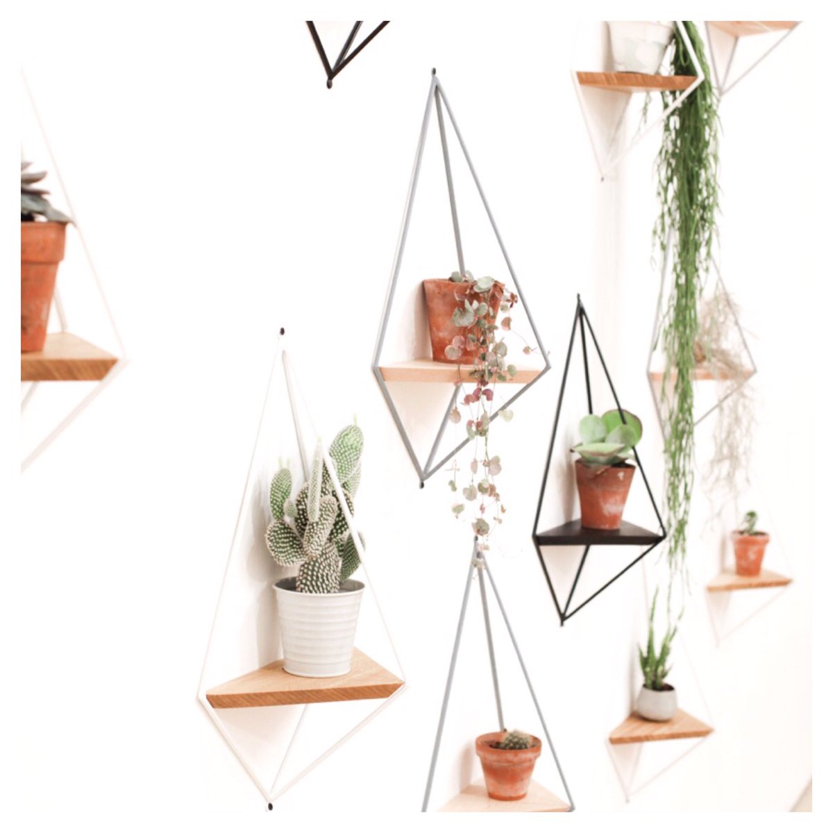 A whole wall of plant hangers. A little jungle. #planthanger #plantinspo #succulents