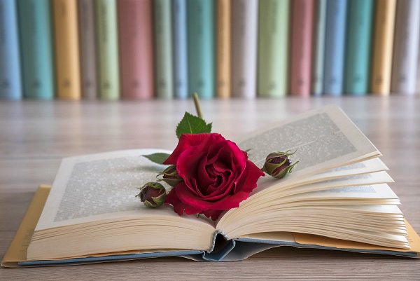 AppsTicservei's tweet photo. Feliç diada de Sant Jordi! #SantJordi https://t.co/AOMW4mxiyF