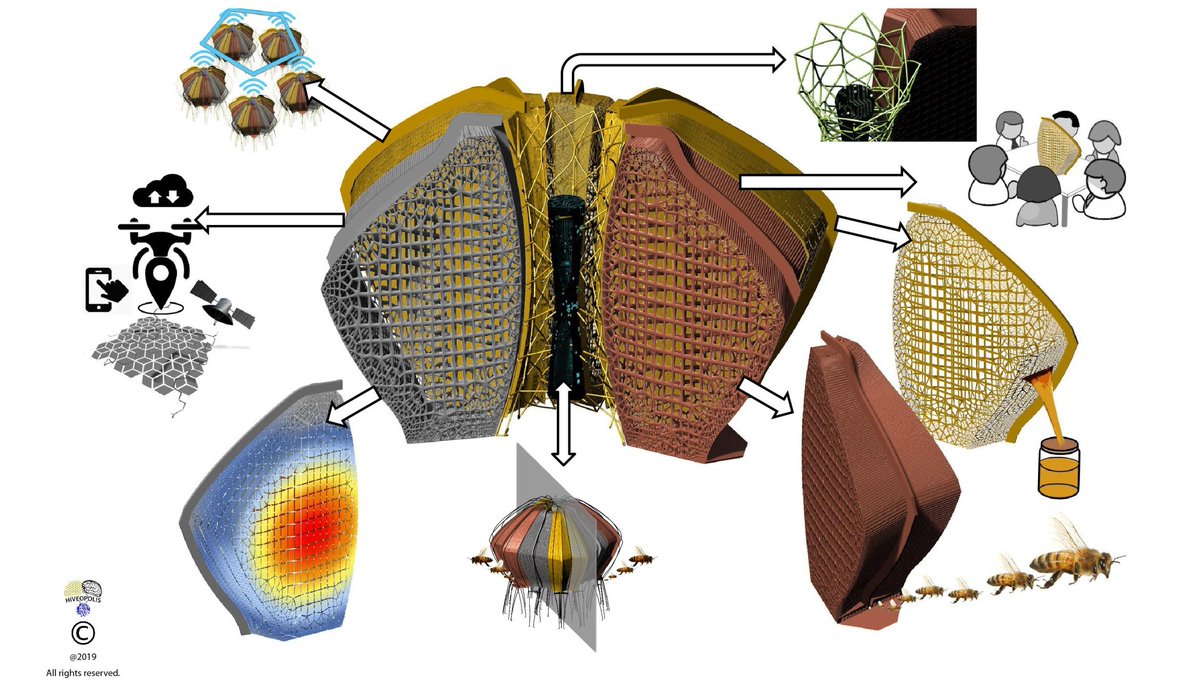 Our research team just received funding and initiate the start of major EU project called HIVEOPOLIS where together with researchers from Germany, Switzerland, Belgium and Austria will address future beekeeping issues and create bio-hybrid system. hiveopolis.eu