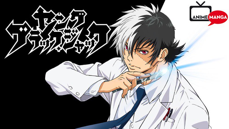 Black jack normas Black jack normas