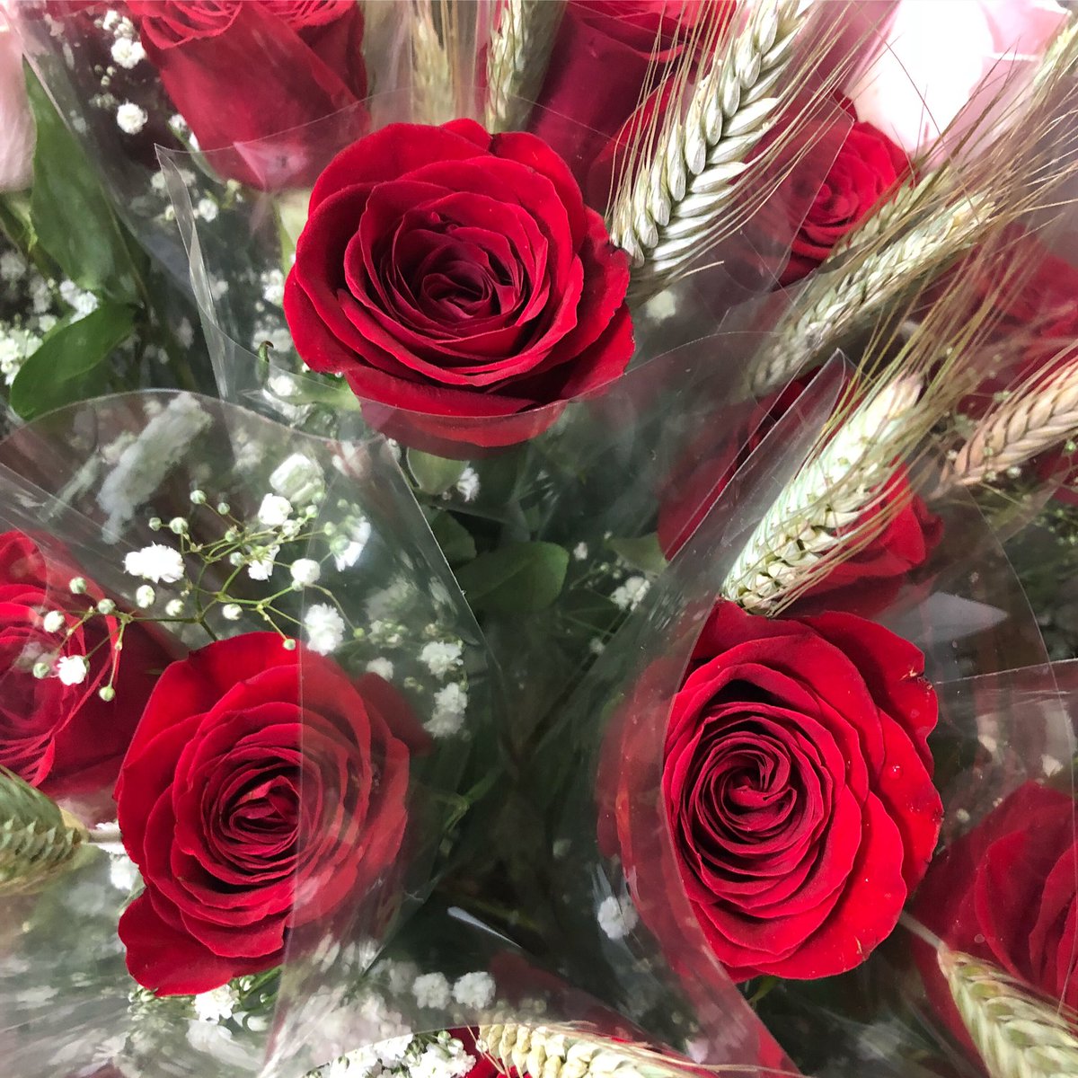 savethemama_org's tweet photo. Feliç Sant Jordi 🌹 Us hi esperem a la nostra parada al carrer València 115 (entre Urgell i Villarroel). ❤️ Roses, rosers i productes #savethemama per una diada solidària.

#santjordi #santjordi19 #roses #rosasolidaria https://t.co/3ZSiKw9VsU