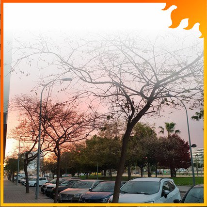 RealAlicante's tweet photo. After two rainy days comes this beautiful sunrise. 319 days of sunshine, await us. #sunrise #costablanca #followback https://t.co/RHGUvzpFuY