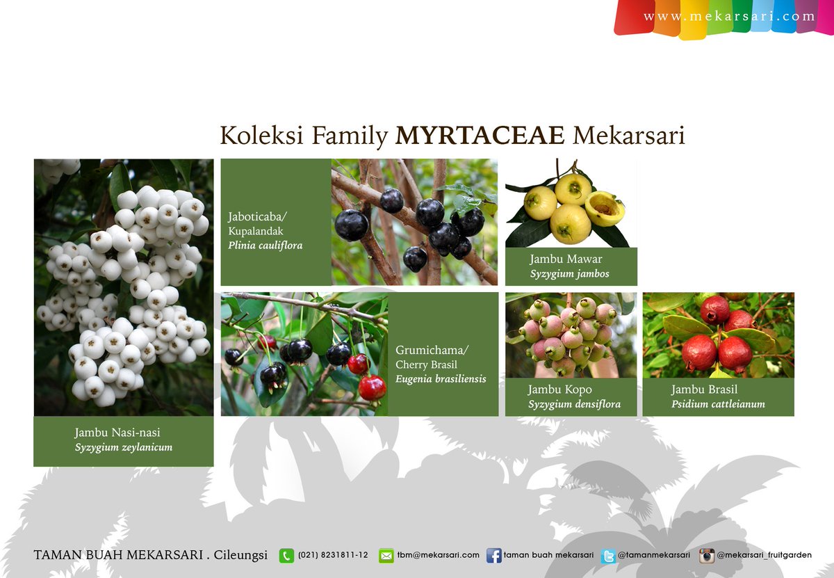 Oktober 2019 Taman Wisata Buah Mekarsari Harga Tiket Masuk