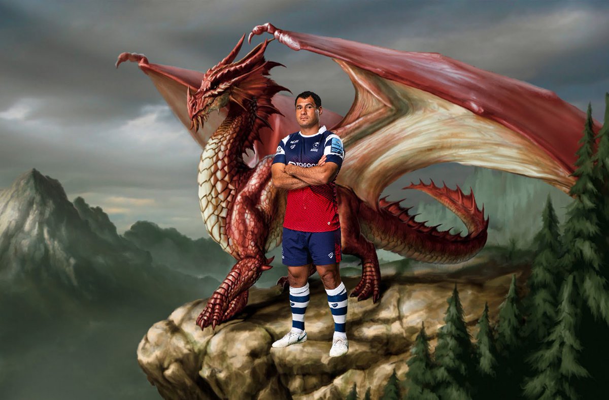 Bristol Bears 🐻 tweet media