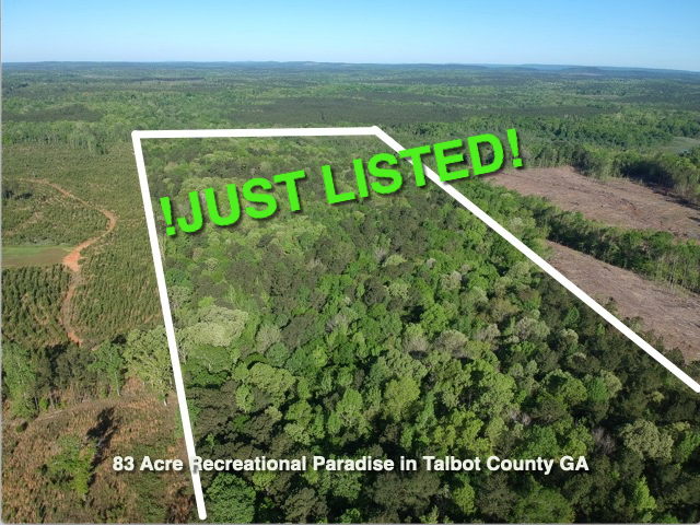 gkentmorris's tweet photo. Just Listed! #TalbotCountyGA https://t.co/U5zIJok8on https://t.co/wBTslxfjvv