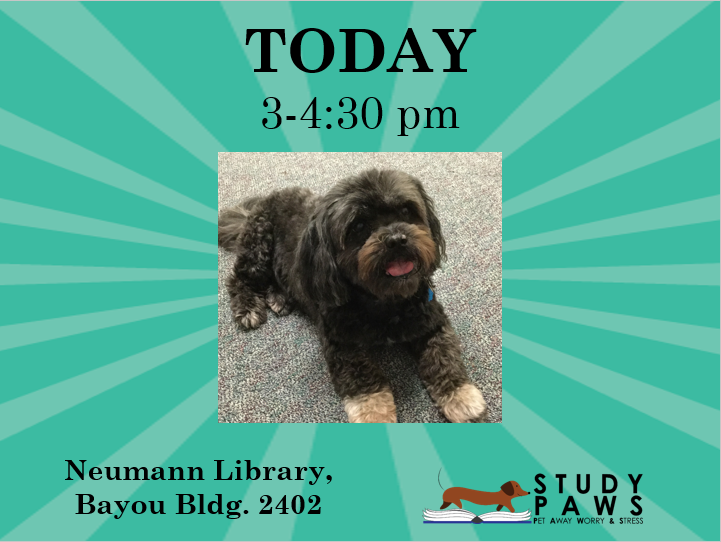 UHCLlibrary's tweet photo. #studyPAWS is TODAY from 3-4:30 pm at the #UHCLlibrary! Come hang out with the pups! Tomorrow, different pups will also visit from 5:30-7 pm. Hope to see you there! https://t.co/20Q1pBWawb