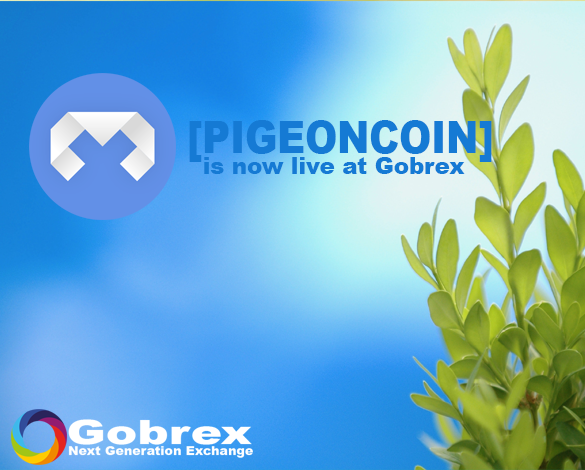 gobrexexchange's tweet photo. $PGN is live at @gobrexexchange https://t.co/WhNYE5ygJ2 https://t.co/73WC9r5uYk