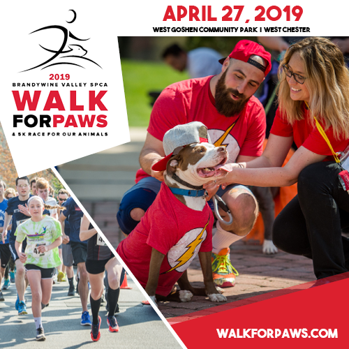 MJWilsonRealEst's tweet photo. Who's coming with me??? Activities for everyone...
Free this Saturday, April 27th? ... #GetYourFunOn at the @BrandywineSPCA Annual #WalkForPaws... Details @ https://t.co/UXUjJ0COlI
#DogLovers #AnimalLovers #furbabies #Westchester #Chesco #SPCA #GetYourRunOn #5K https://t.co/KwOFtnXBNn
