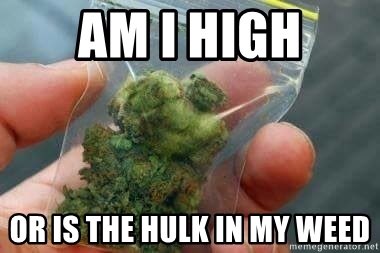 seaweedism's tweet photo. When you’re so excited for Avengers Endgame you start seeing the Hulk in your weed 😂 #weedmemes 
#malaysiaweed #weedmalaysia #weedempire
DM for info 🇲🇾 
(Disclaimer: Our weed don’t contain no Hulk, sorry 😬) https://t.co/UAWNGhdDip