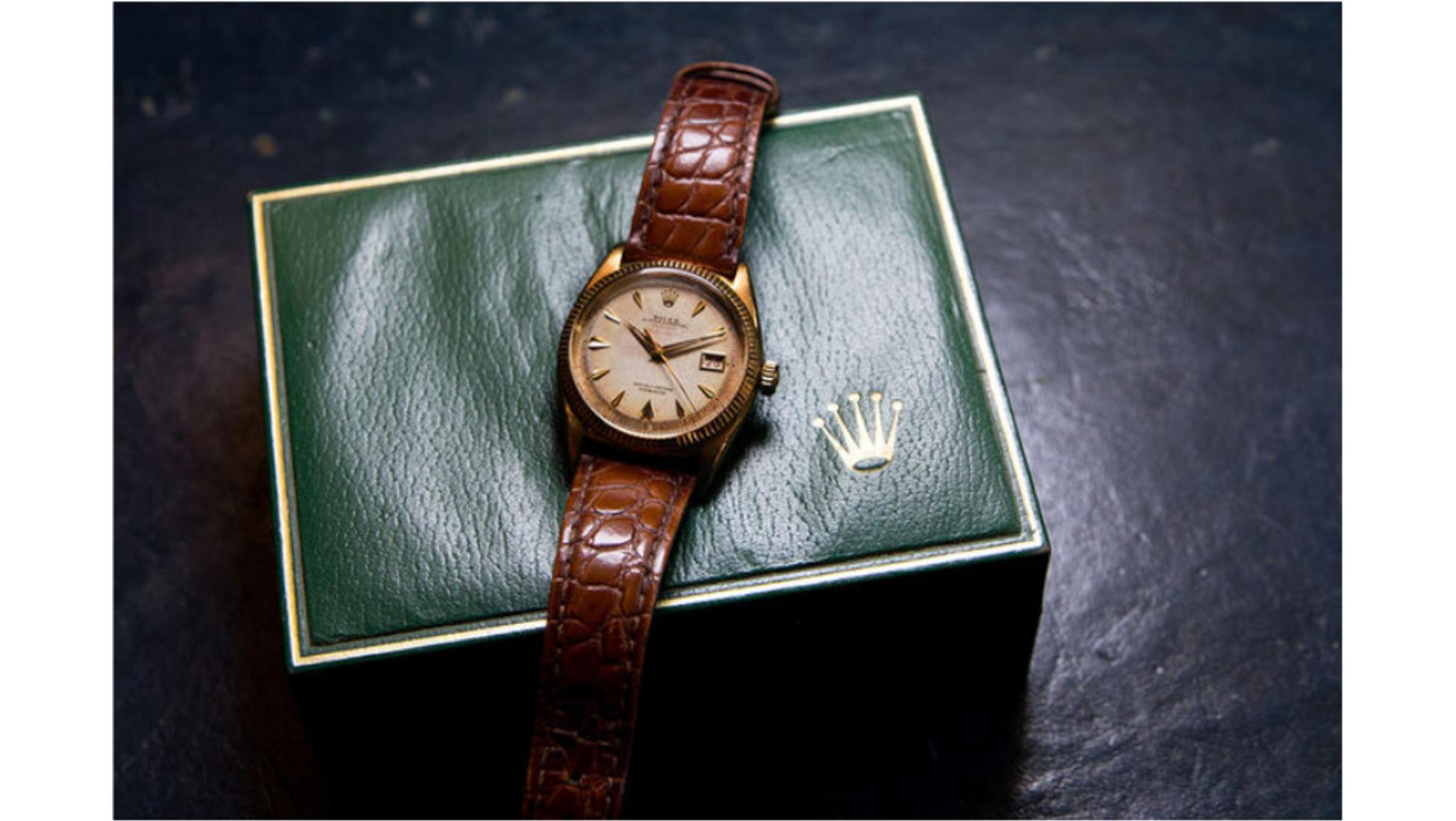 CatawikiNL on Twitter: \