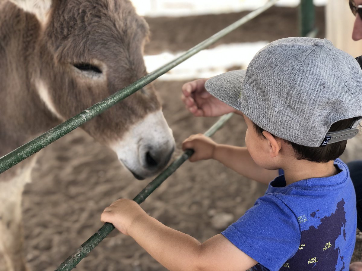 This fulltime travel life gives our son the education of a lifetime. #fulltimetravel #littlenomad