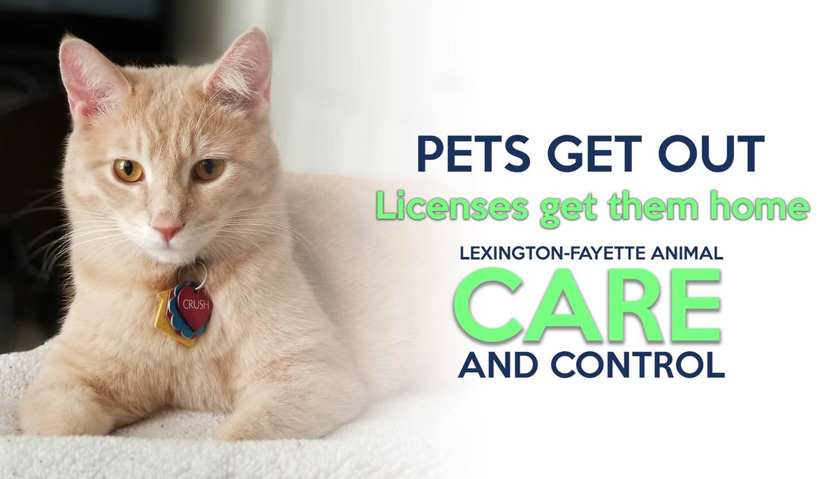 Lexington-Fayette Animal Care & Control tweet media
