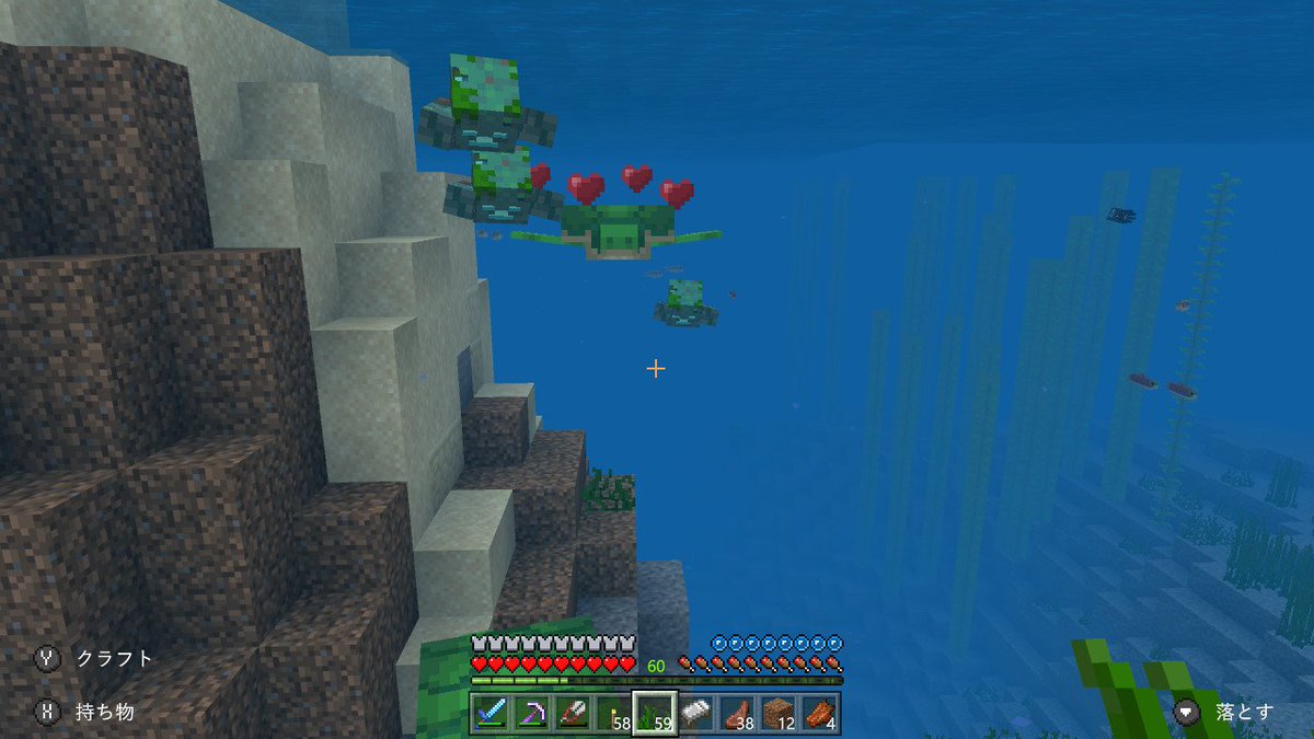 リュウ 森のハンター على تويتر エンドラ討伐から帰還するとカメ発見 仲間連れてくる途中に敵も一緒にw かめたろとかめみちゃんって名付けた 海底に珊瑚礁作りがんばるぞー Minecraft マイクラ マインクラフト Nintendoswitch