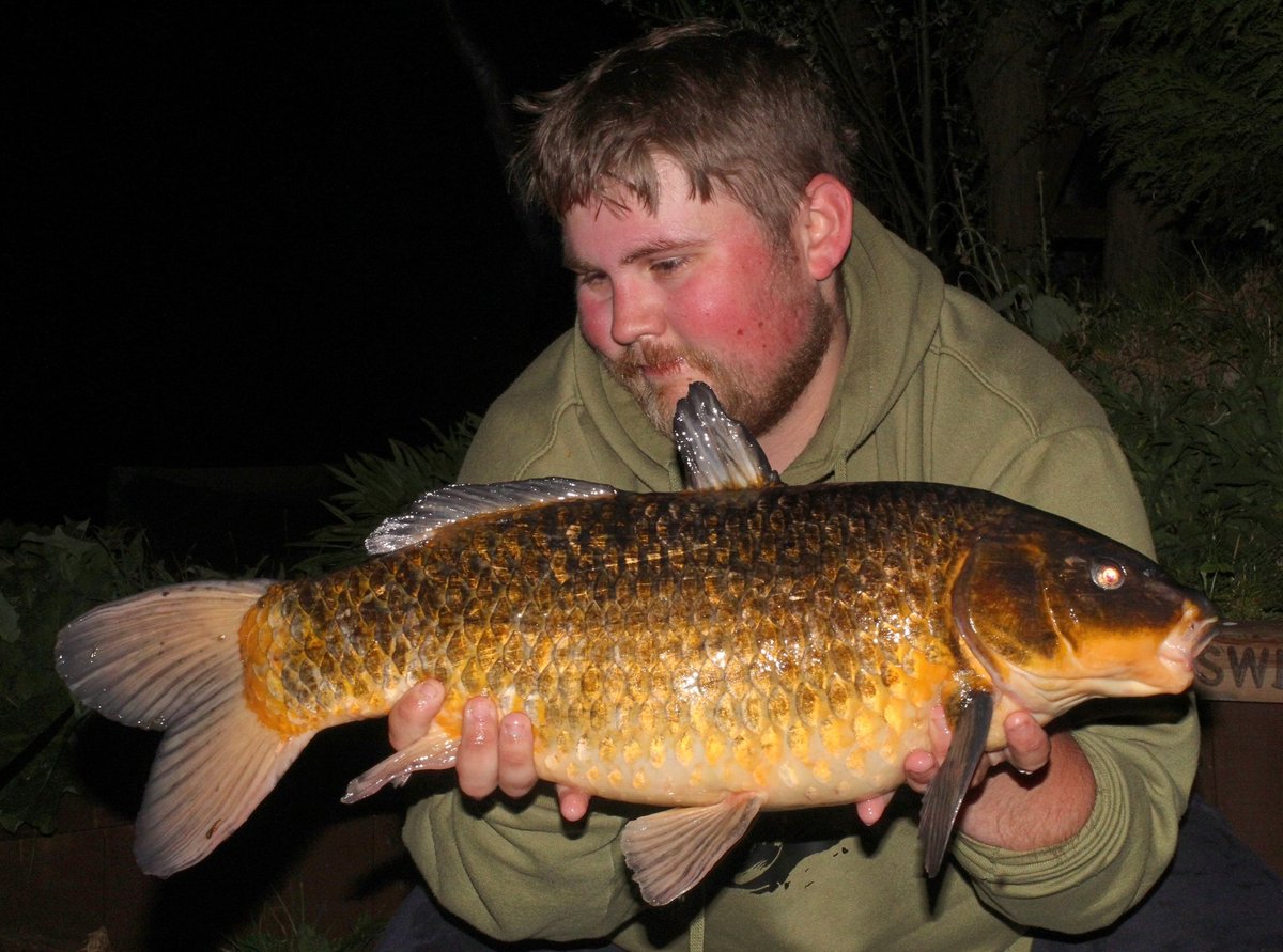 Little Koi Ghosty out of the Syndicate last night. Not one that gets caught often so despite not being the biggest, he was welcome 🎣🎣 #corebaits #pbproductsuk #casyawaypva #powapacs