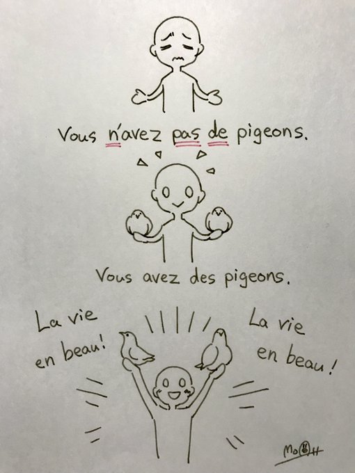 Vous n'avez pas de pigeons. 