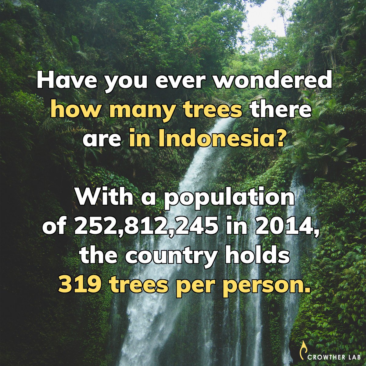 CrowtherLab's tweet photo. There were more than 80,5 billion trees in Indonesia in 2014.
#howmanytrees https://t.co/UIhsHjq42b