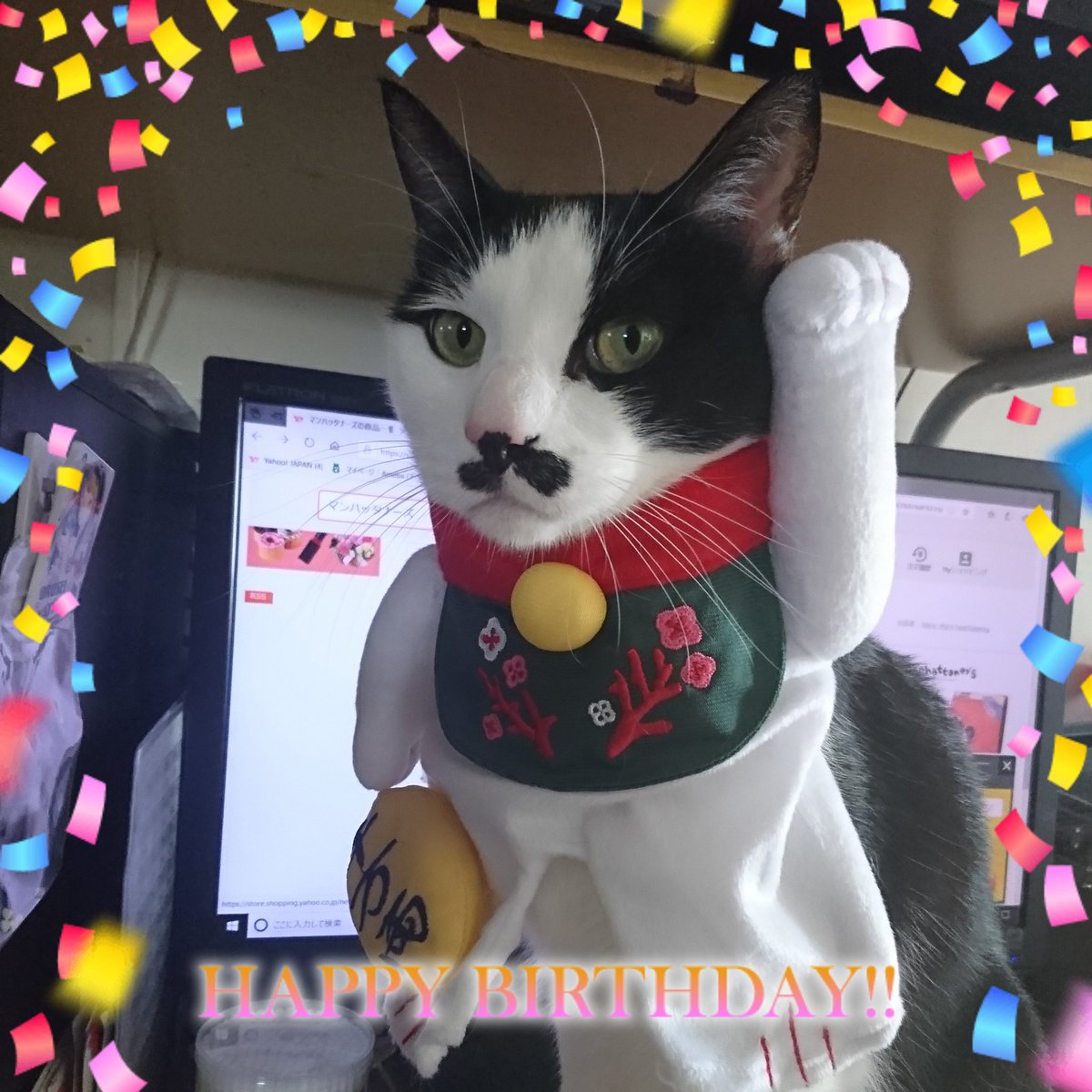 猫の誕生日 Hashtag On Twitter 猫の誕生日 Hashtag On Twitter