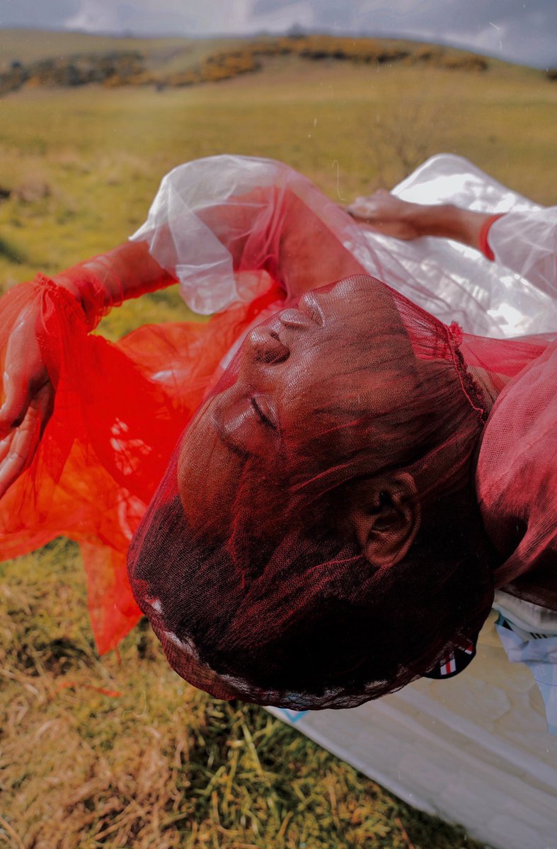 ⧉ PNG vibes tweet media