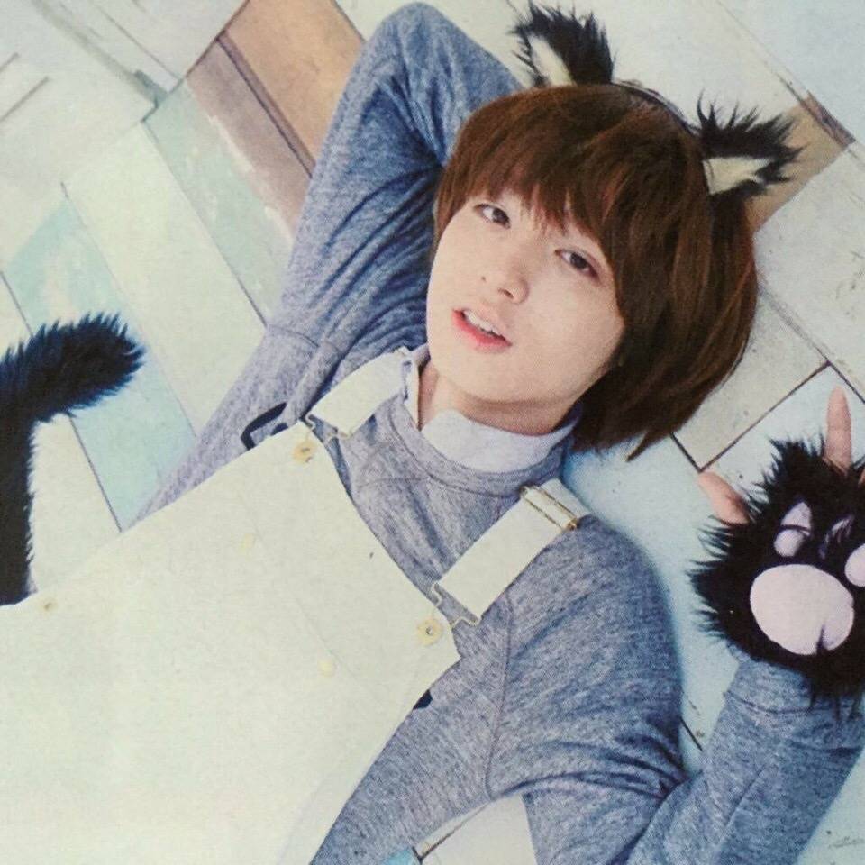 Jill0622 Cat Or Rabbit 伊野尾慧 An An Jill0622 Cat Or Rabbit 伊野尾慧 An An