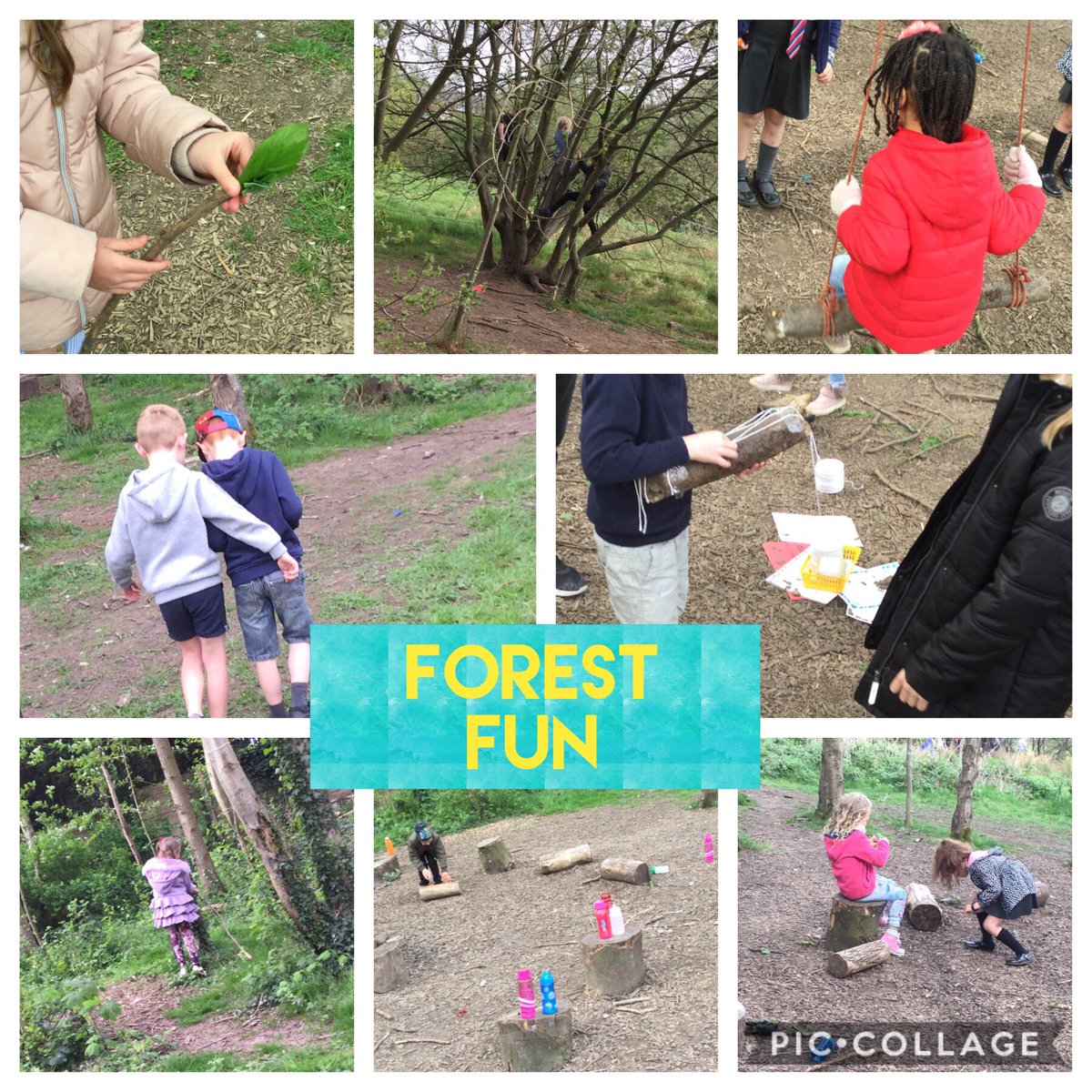 Y1 are having a great day with Y4 @HollinsGrundy  in our Forest School area to celebrate Jon Muir day 2019! #togetherwebuildunderstanding