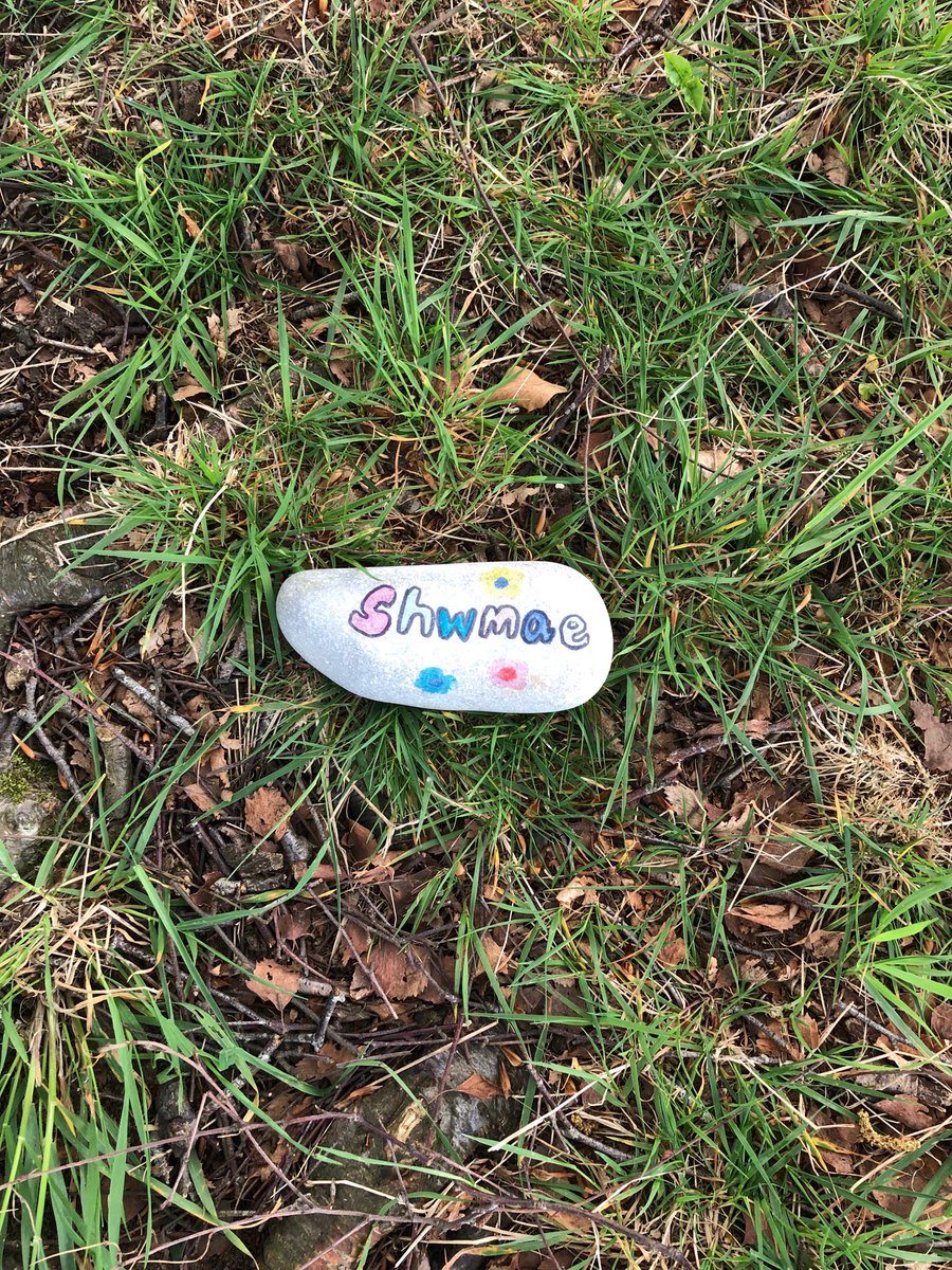 jules30's tweet photo. ⁦@GriffMillbank⁩ ⁦@MillbankPrimary⁩ #millbankrocks Look what we found and then hid it again! https://t.co/VHt0VrVyOp