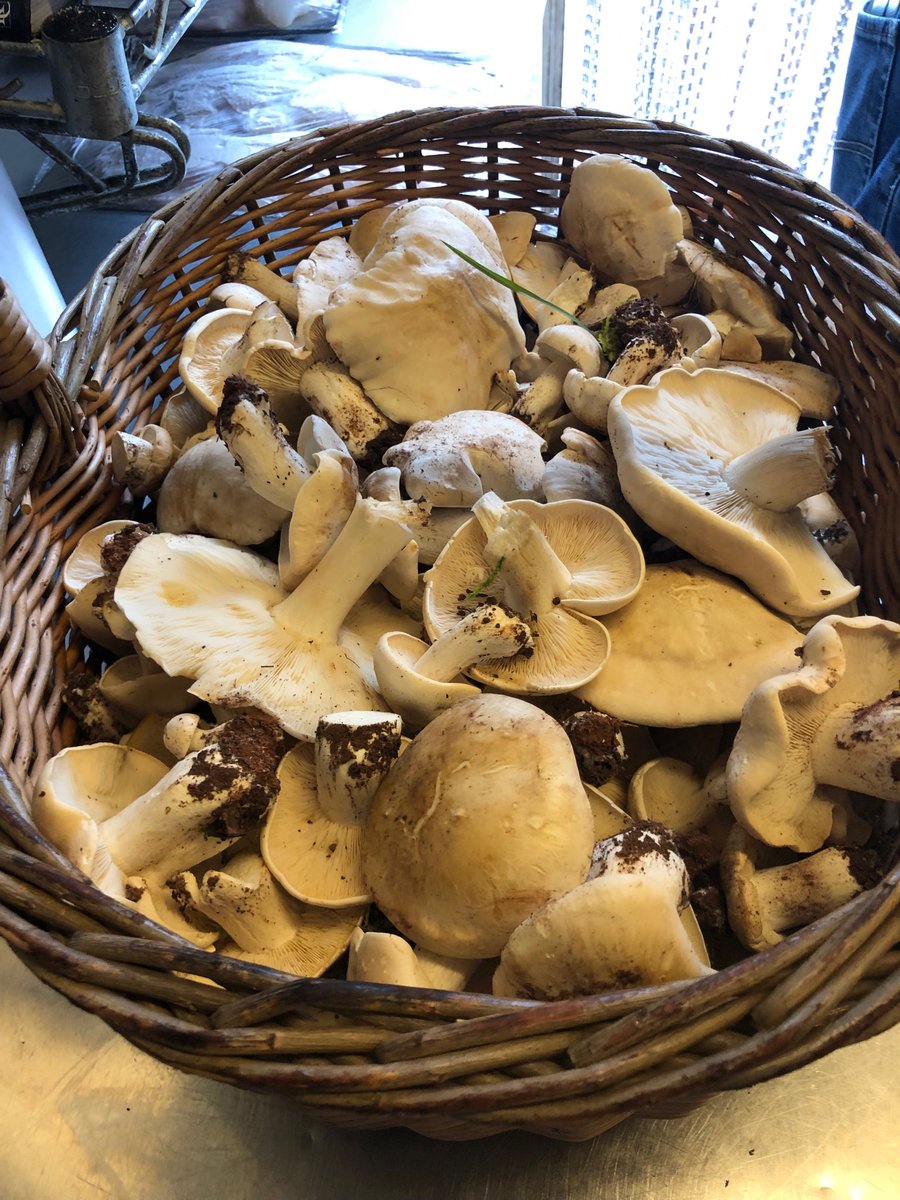 St. George’s in the house!