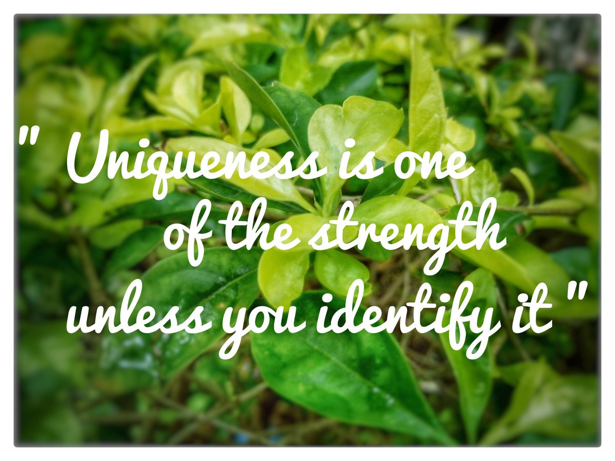 tejasdolas12's tweet photo. " UNIQUENESS IS ONE OF THE STRENGTH UNLESS YOU IDENTIFY IT "
#dailyquotes #DailyQuote #MotivationalQuotes #motivationalquote #newquotes #goodquotes #quotesoftheday #quotes #nature https://t.co/UBoXUjTK8b