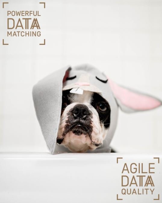 Datactics_'s tweet photo. Was your weekend as sunny as ours? If not, here at @Datactics_ have some great news coming soon to brighten up your week!
#News #PowerfulDataMatching #Updates #MachineLearning #RegMetrics #AgileDataQuality #MatchEngine #SingleCustomerView #RegTech #AI #FinTech #BankingTech https://t.co/DJq5MWc5Sb